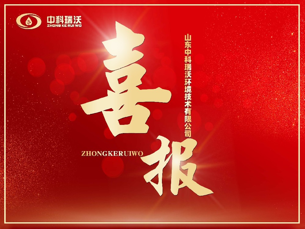 喜报丨恭喜麻豆视频入口官网成功获批“山东省2024年度专精特新中小企业”